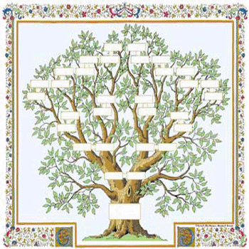 Genealogie stamboom Cothen